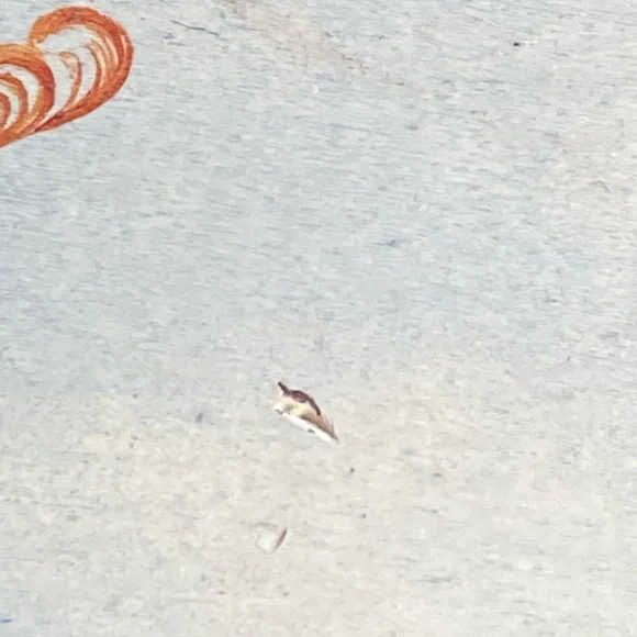 Vintage Handmade Wooden Slant Top Lap Storage Writing Desk Hand-Painted Girls - Picture 10 of 16